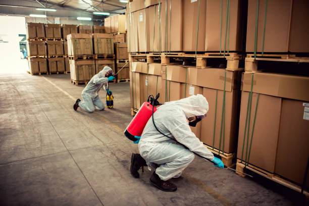 Best Termite Control Services  in Cuthbert, GA