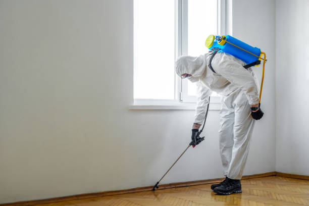 Best Residential Pest Control  in Cuthbert, GA