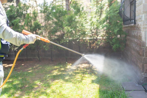 Best Local Pest Control Services  in Cuthbert, GA