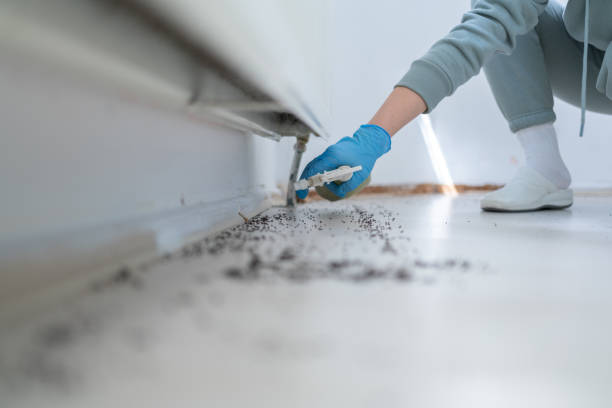 Best Pest Prevention Services  in Cuthbert, GA